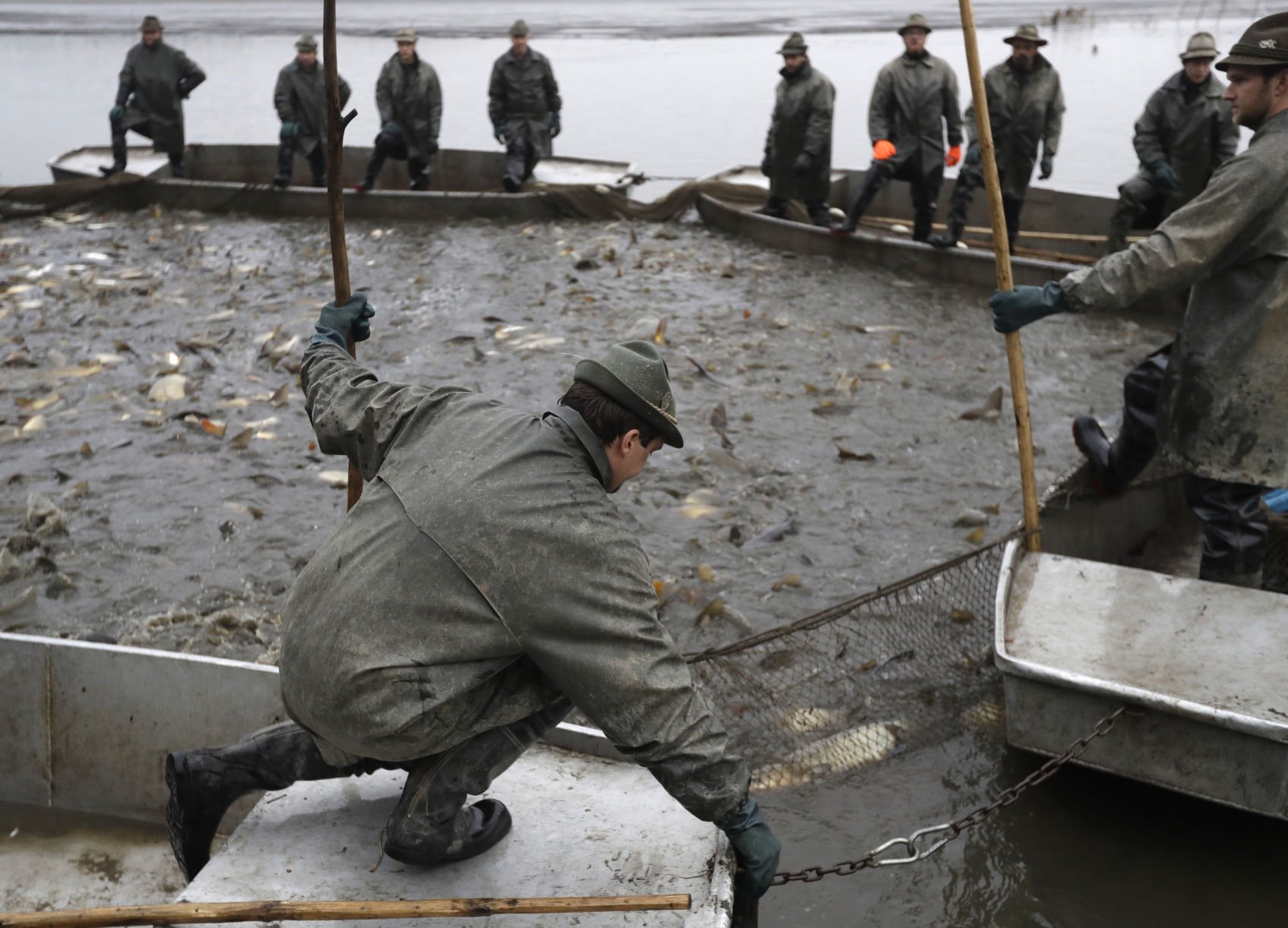 Czech Republic Carp Catching Photo Gallery